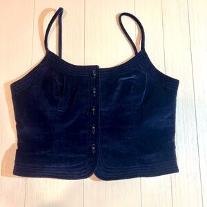 Prophesy Vintage Blue Velvet Corset Style Top.